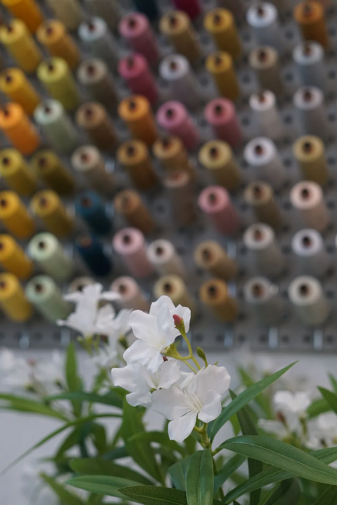 Detail aus dem Nähatelier: Garnwand hinter frischen Blüten